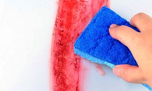 PAINT DOCTOR Efflorescence Wall Treatment Additive to Prevent Salt Deposits and White Patches, Enhancing Paint Adhesion and Moisture Resistance to Provide Long-Term Protection and Maintain Wall Integrity